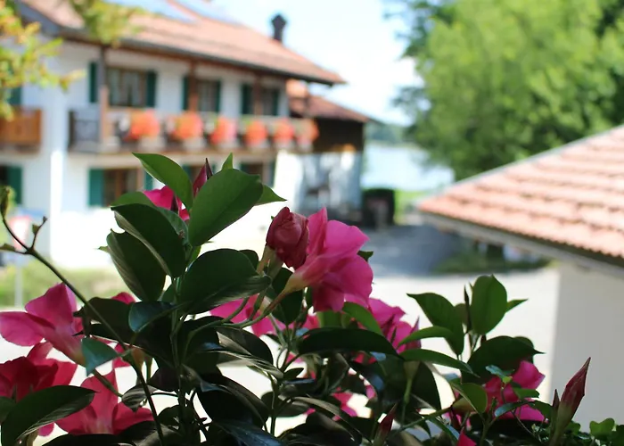 Haus Elfriede Schmid * Bayersoien