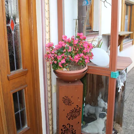 Haus Elfriede Schmid Apartment