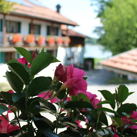 Haus Elfriede Schmid